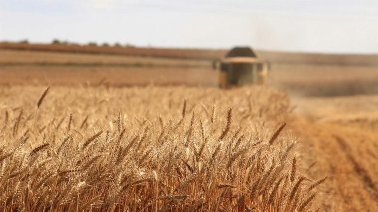 Agriculture biologique en Thuringe : une transition au point mort